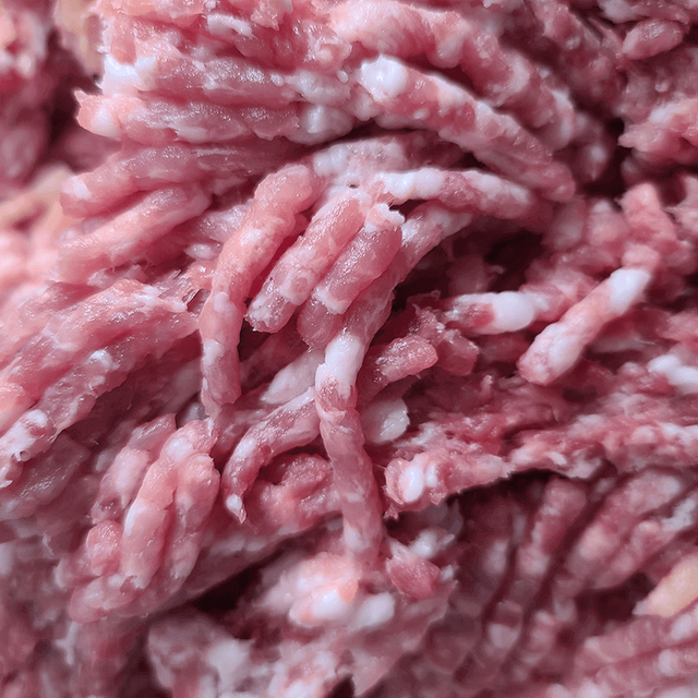 Moedor de carne de parafuso único